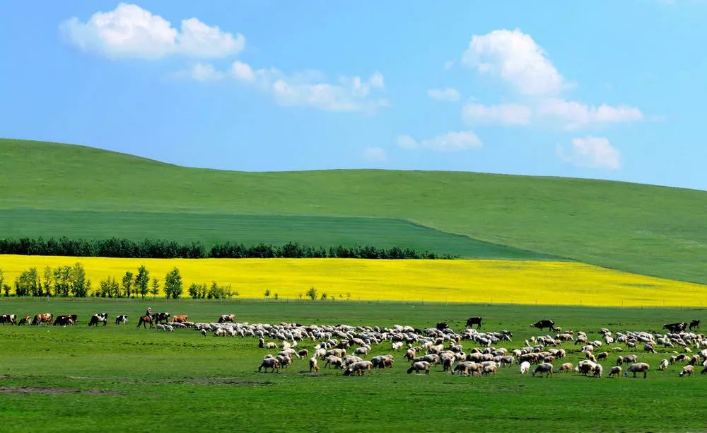草原漫步，内蒙古之旅的亲密体验